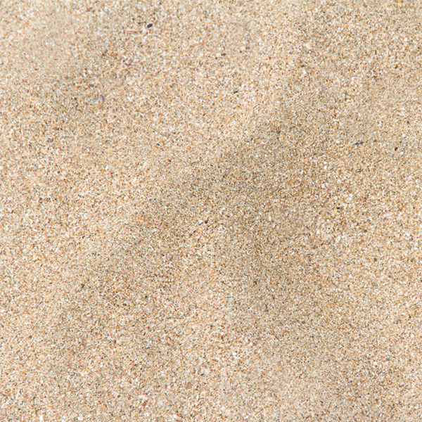 is it possible to get same-day sand delivery  from any suppliers in the area 